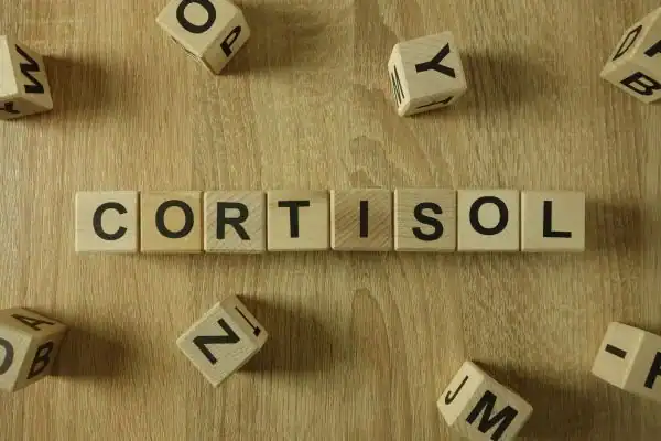 The Hidden Connection: How Stress Shapes Your Fitness and Body Composition 2 Image saying "Cortisol" and how stress Cheshire impacts your wellbeing and bodies shape